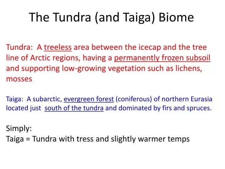 PPT - The Tundra (and Taiga) Biome PowerPoint Presentation, free