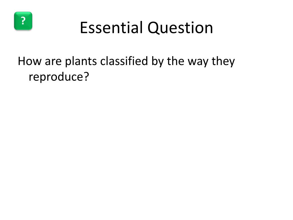 PPT How Plants Are Classified PowerPoint Presentation, free download