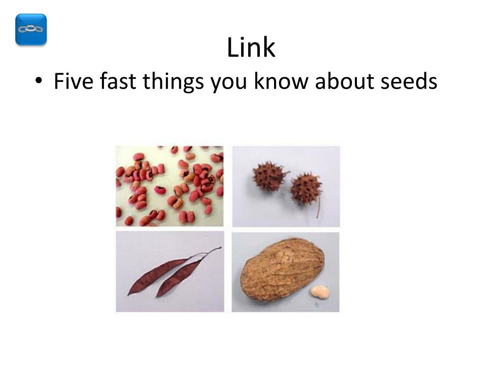 PPT How Plants Are Classified PowerPoint Presentation, free download