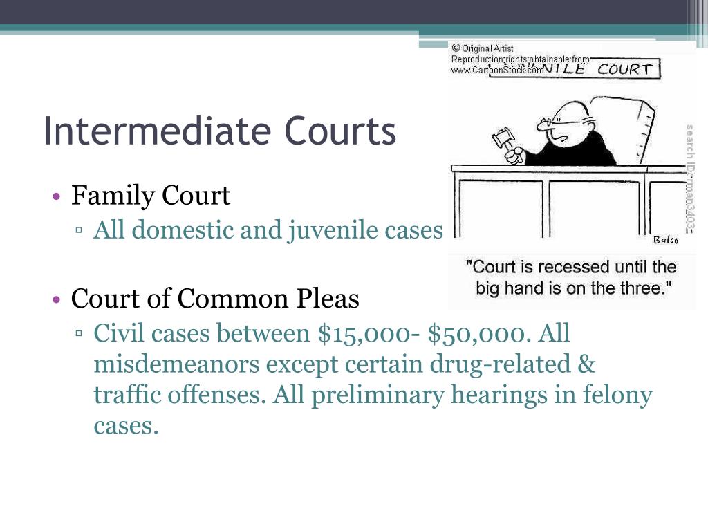 PPT - Delaware Courts PowerPoint Presentation, free download - ID:2019399