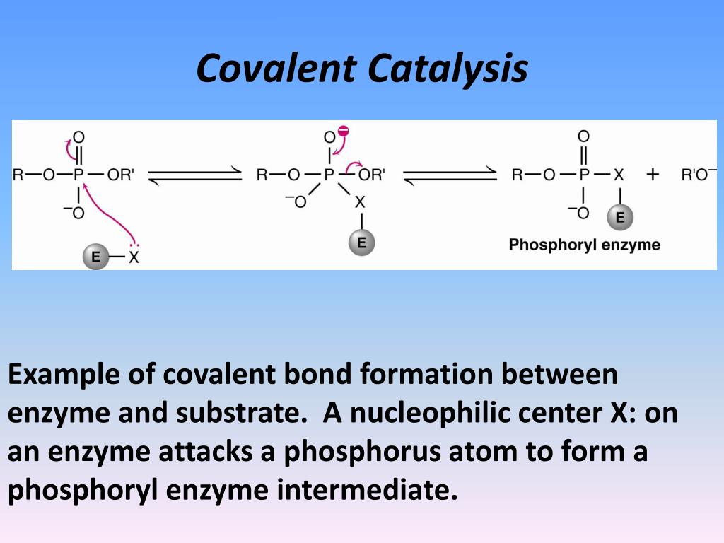 PPT Mechanisms of Enzyme Action PowerPoint Presentation, free