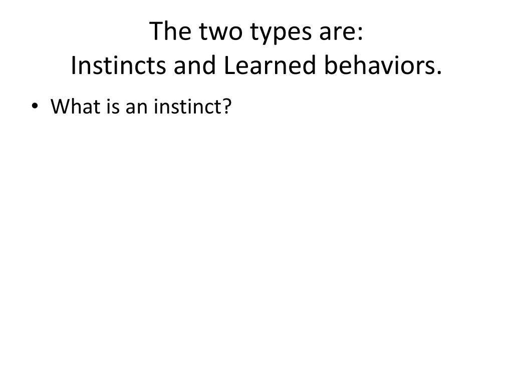 PPT Animal Reproduction and Behavior PowerPoint Presentation, free