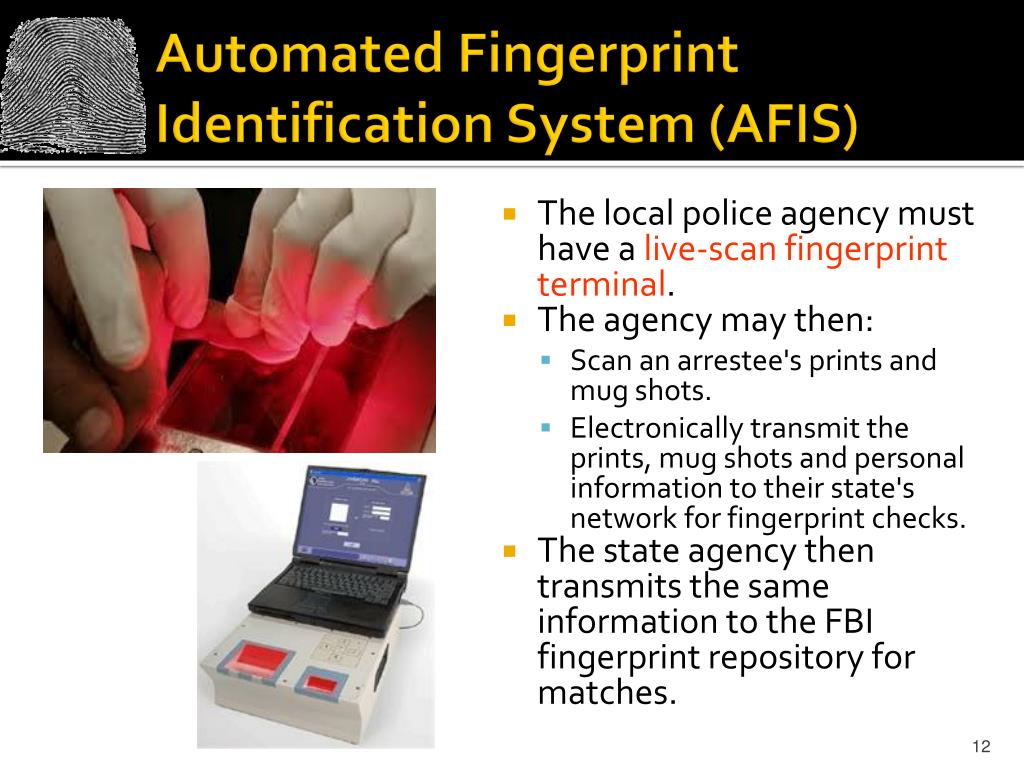 PPT Fingerprinting Merit Badge PowerPoint Presentation, free download