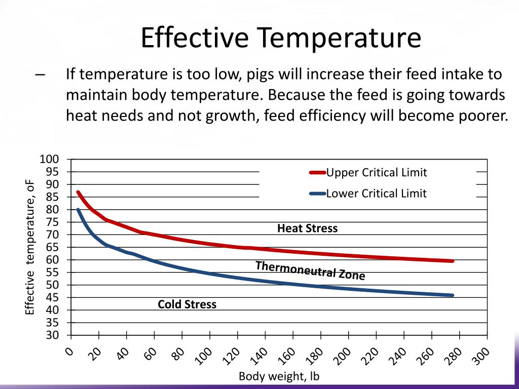 PPT Feed Price Update and Daily Feed Efficiency Drivers PowerPoint