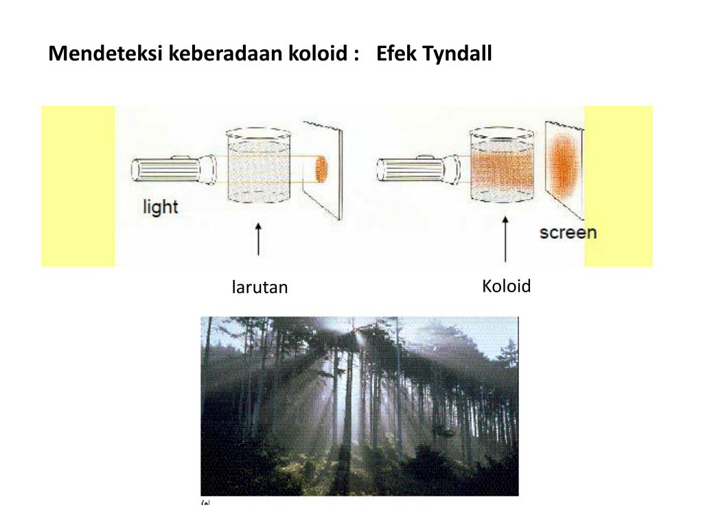 PPT Koloid PowerPoint Presentation, free download ID2026655