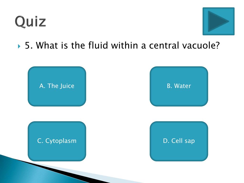 PPT Vacuoles PowerPoint Presentation, free download ID2027741