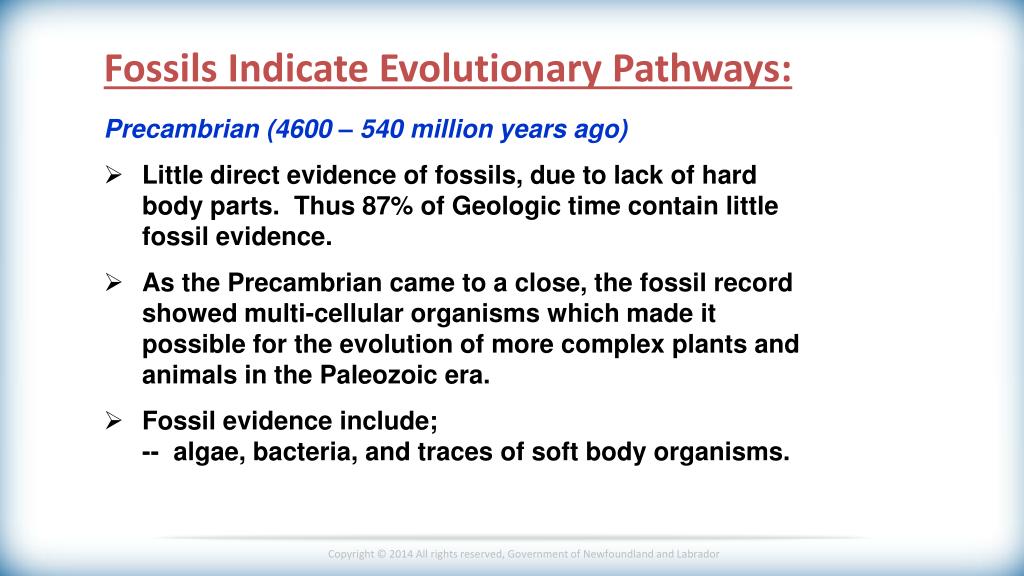 PPT Earth Systems 3209 PowerPoint Presentation, free download ID