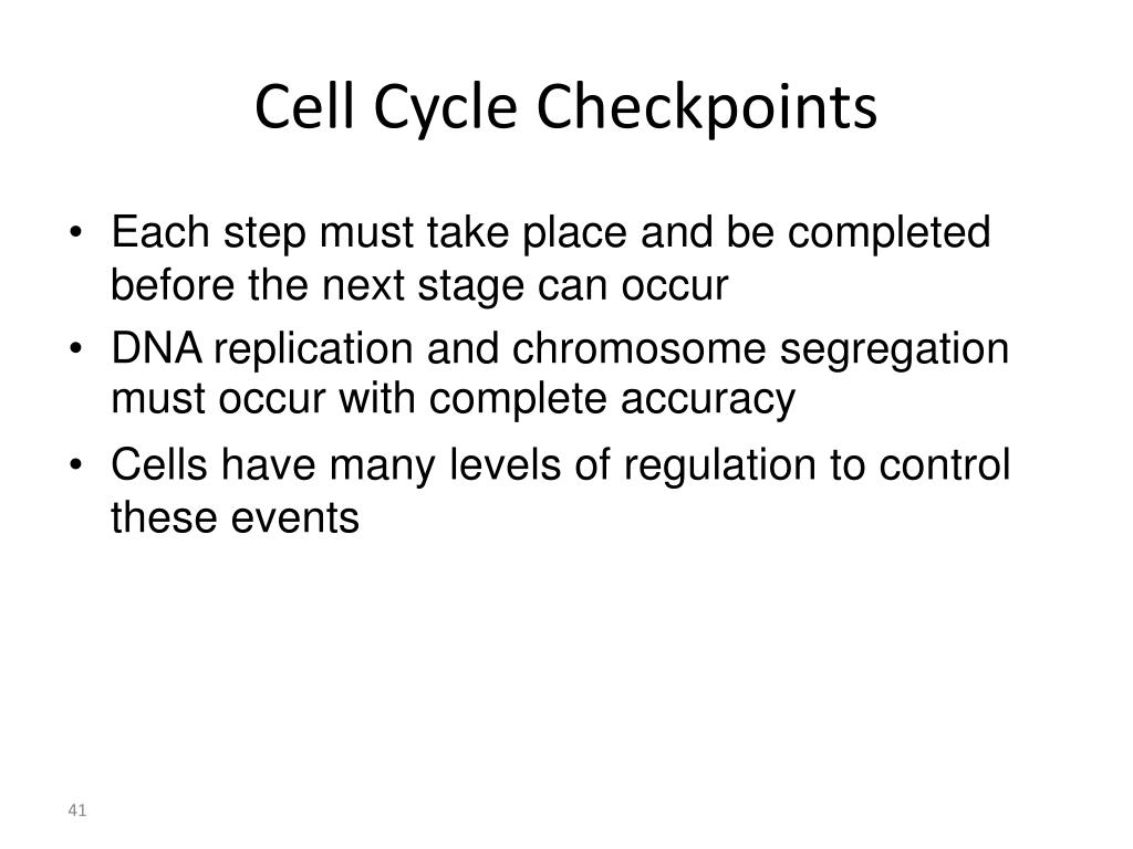 PPT Cell Cycle Regulation and Checkpoints PowerPoint Presentation