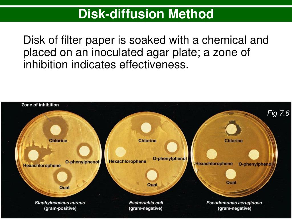 PPT Chapter 7 The Control of Microbial Growth PowerPoint Presentation
