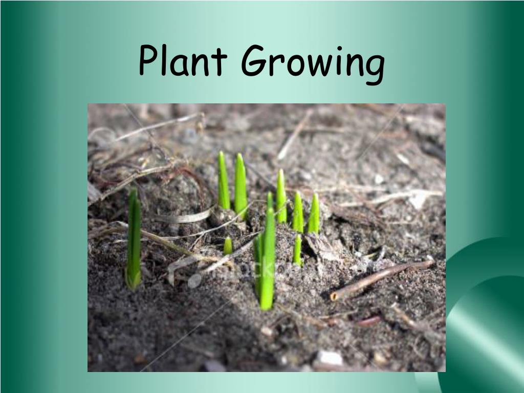 PPT Chemical and Physical Changes PowerPoint Presentation, free