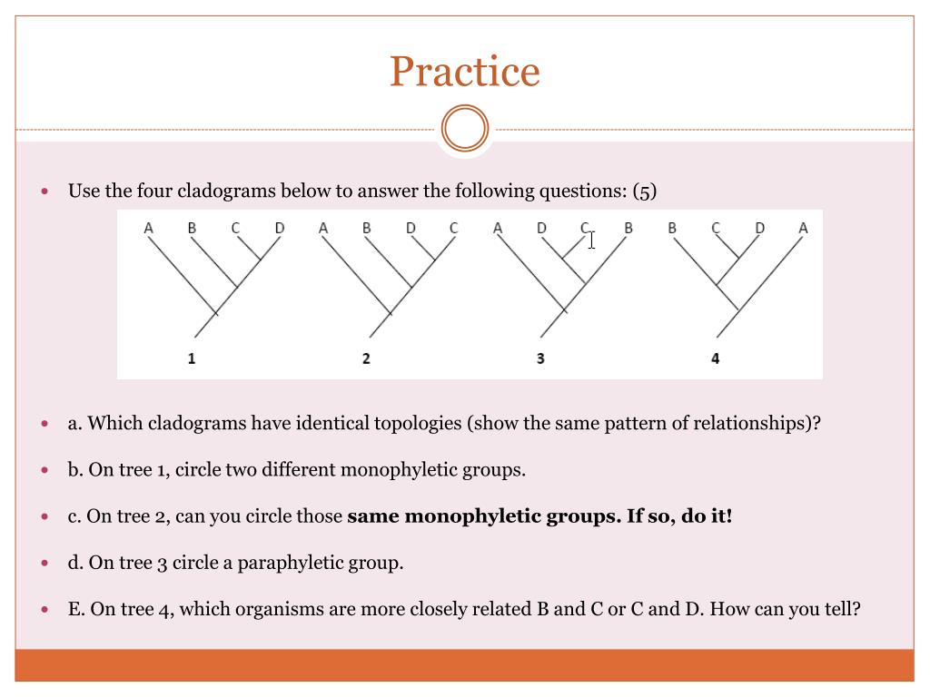 PPT - Cladograms and Phylogenetic Trees PowerPoint Presentation, free