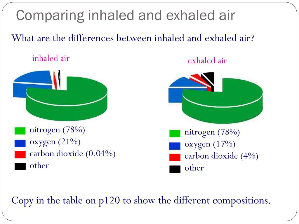 PPT B6 Respiration PowerPoint Presentation, free download ID2030264