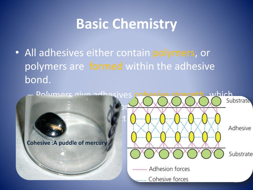 PPT Adhesives and Adhesion PowerPoint Presentation, free download