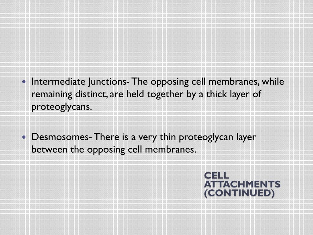 PPT The Cell and Cell Processes PowerPoint Presentation, free