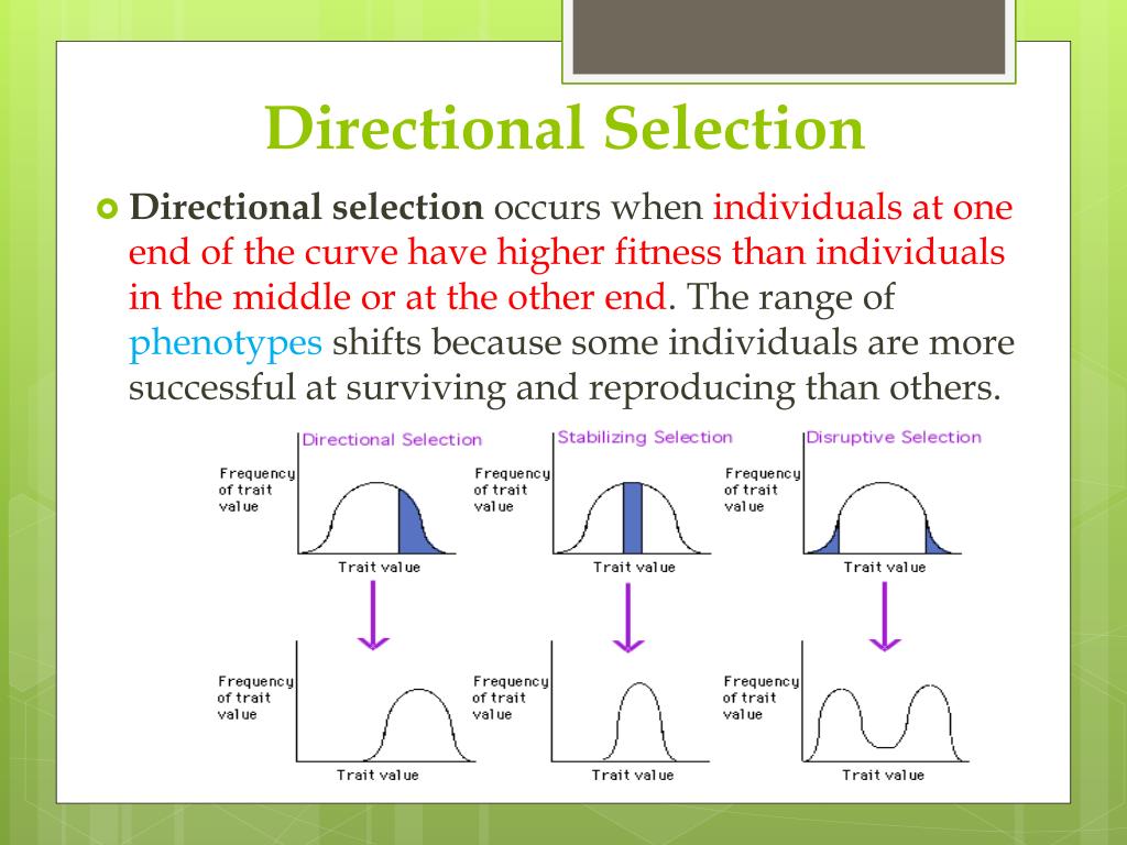 PPT Evolution and Populations PowerPoint Presentation, free download
