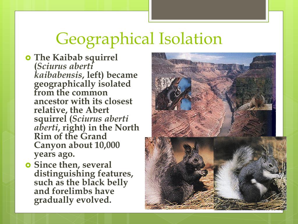 PPT Evolution and Populations PowerPoint Presentation, free download