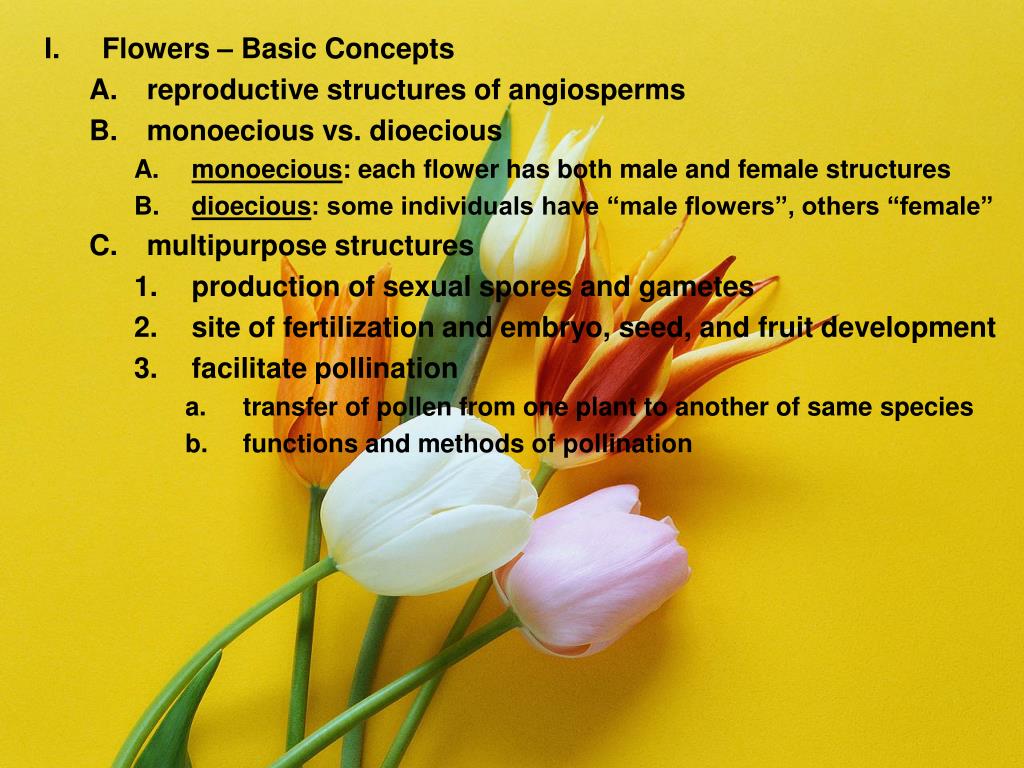 PPT Plant Reproduction and Development PowerPoint Presentation, free