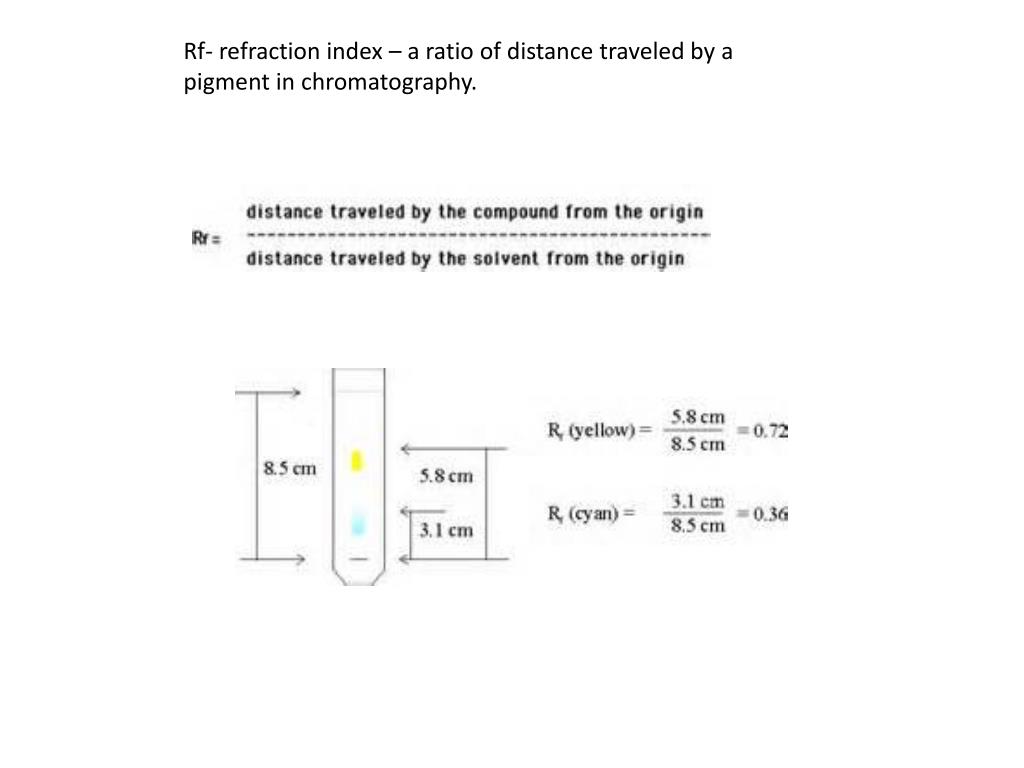 PPT Chromatography Pigment separation of spinach leaves. PowerPoint