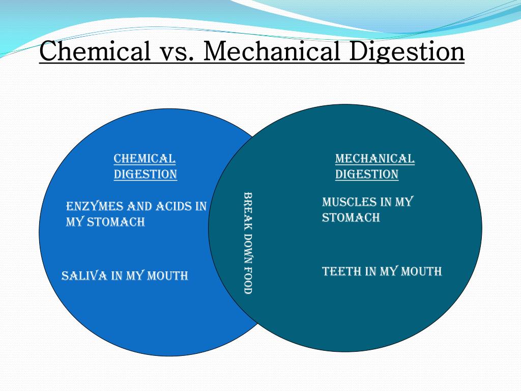 PPT Science Starter PowerPoint Presentation, free download ID2036040