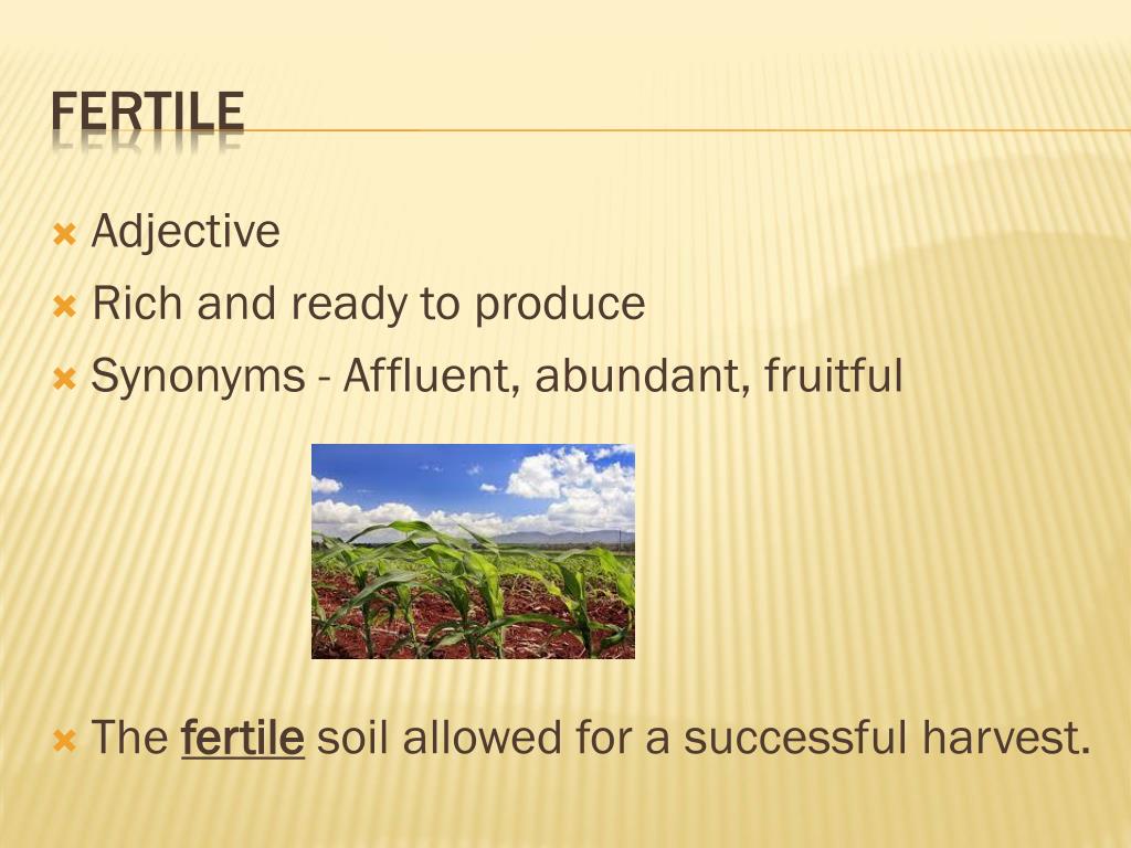 PPT Carlos and the Skunk Vocabulary PowerPoint Presentation, free