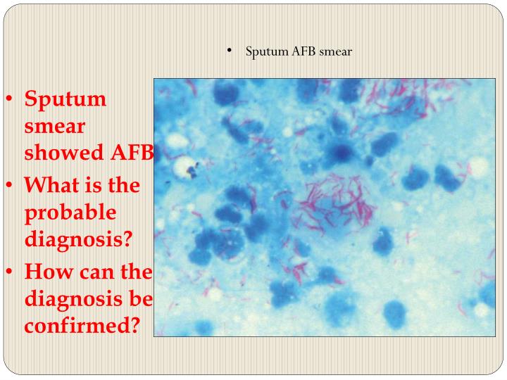 PPT RESPIRATORY BLOCK Practical PowerPoint Presentation ID2044532