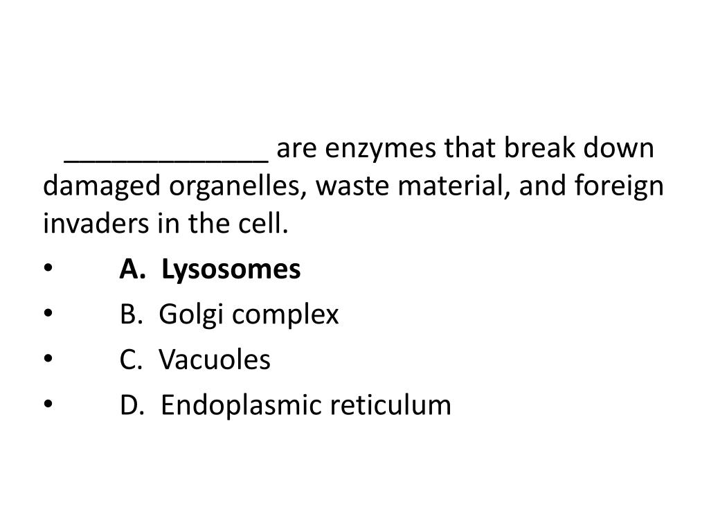 PPT Cell Structure & Function Review Set PowerPoint Presentation ID