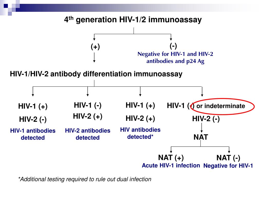 PPT HIV Diagnosis New Proposed Algorithms and Evolution of HIV