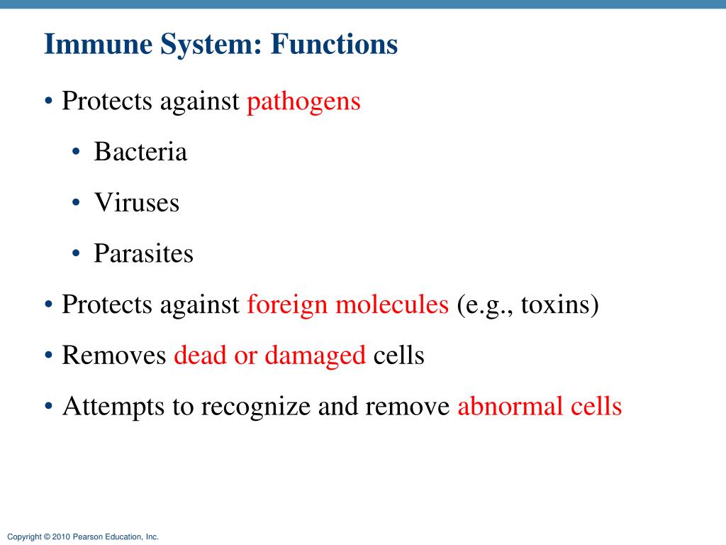 PPT Immune System Overview PowerPoint Presentation, free download