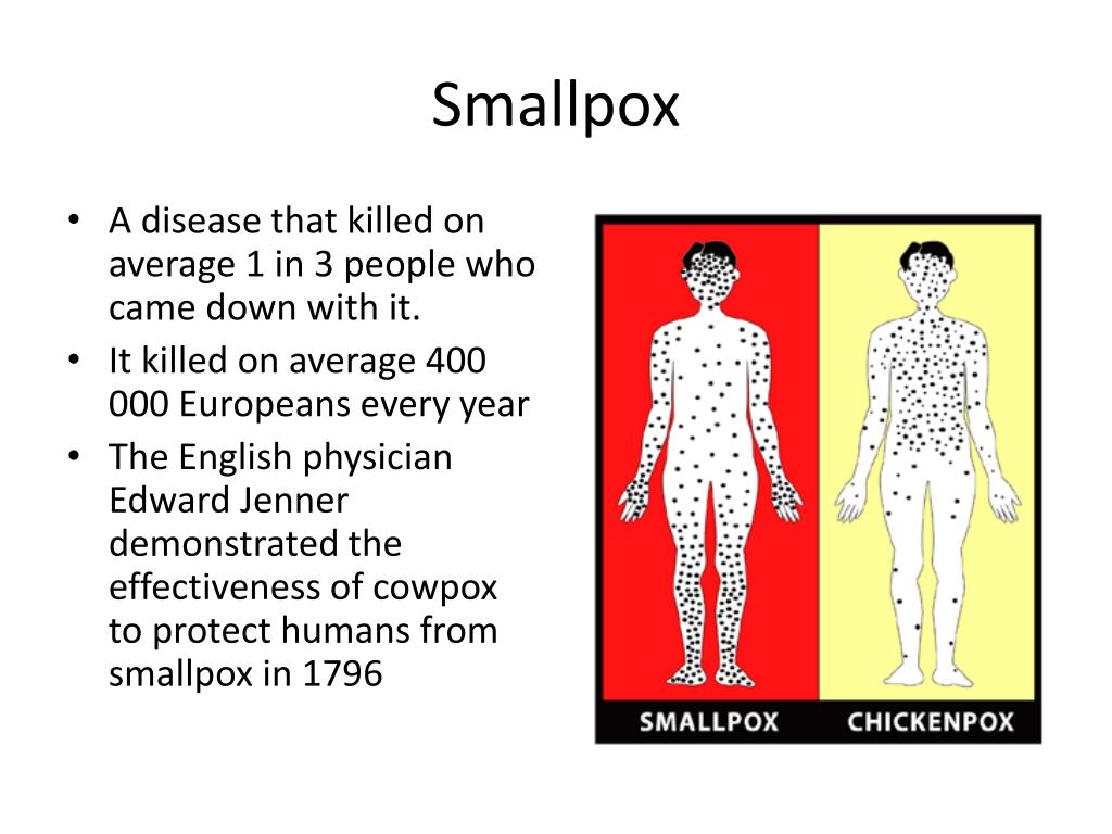 PPT The Industrial Revolution PowerPoint Presentation, free download