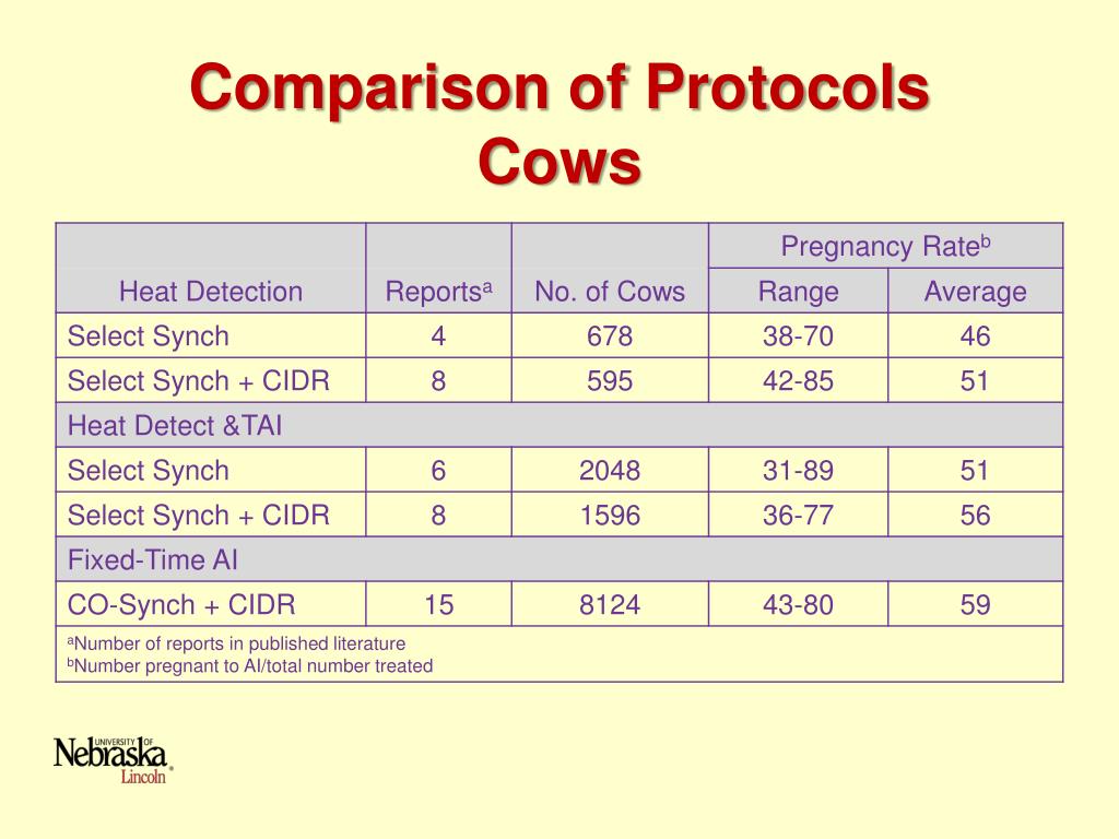 PPT Reproductive Management in Beef Cattle Estrous Synchronization