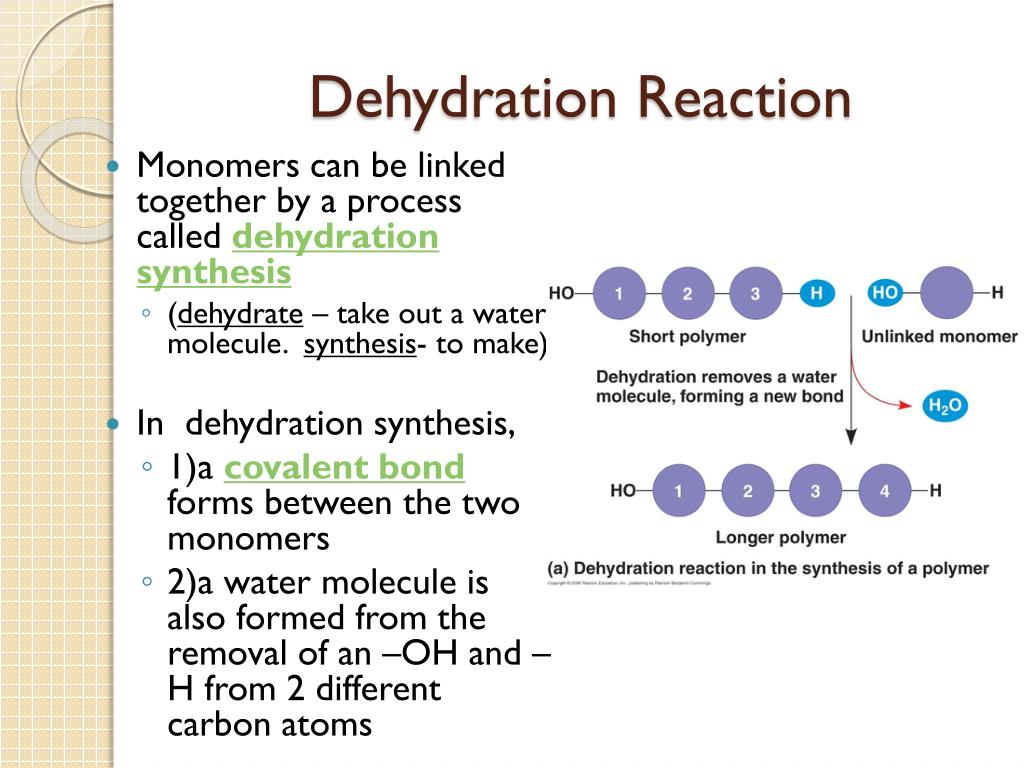 PPT Organic Molecules found in living organisms made of C, H, N, O