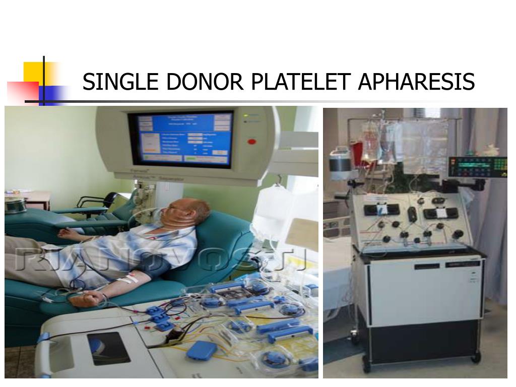PPT TRANSFUSION MEDICINE PowerPoint Presentation, free download ID