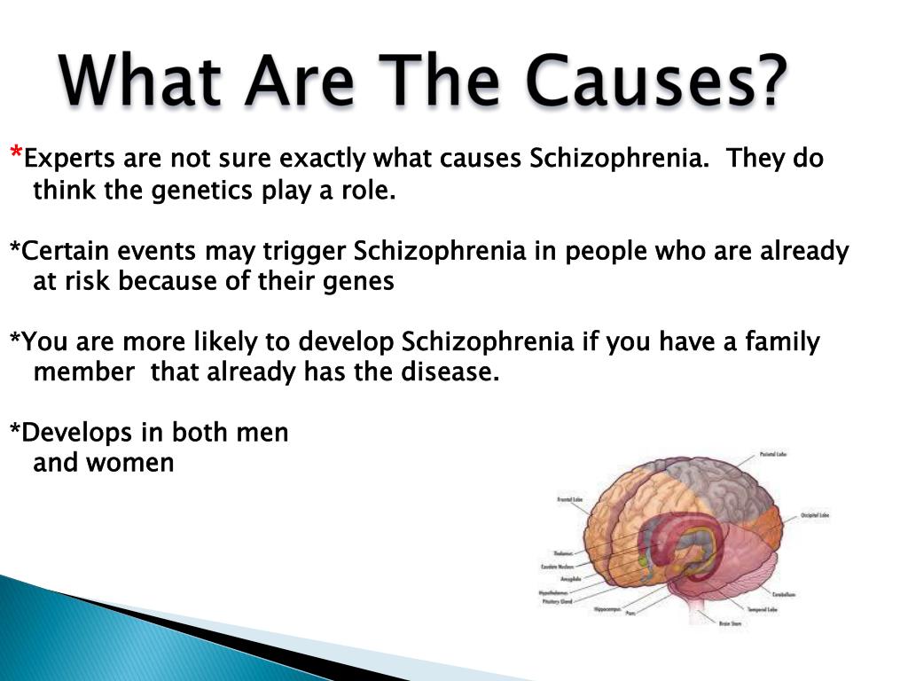 PPT Schizophrenia PowerPoint Presentation, free download ID2058550