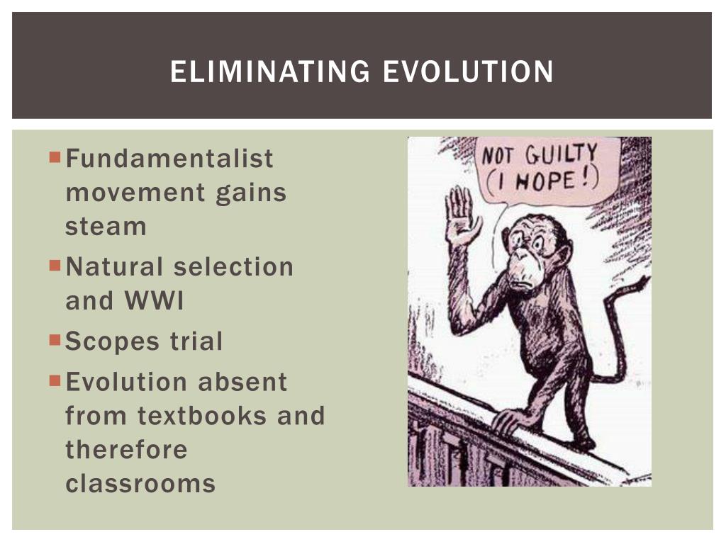 Evolution Vs. Creationism: An Introduction Newswise