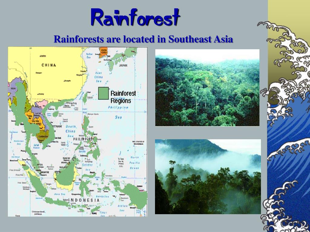 Tropical Rainforest Southeast Asia Map