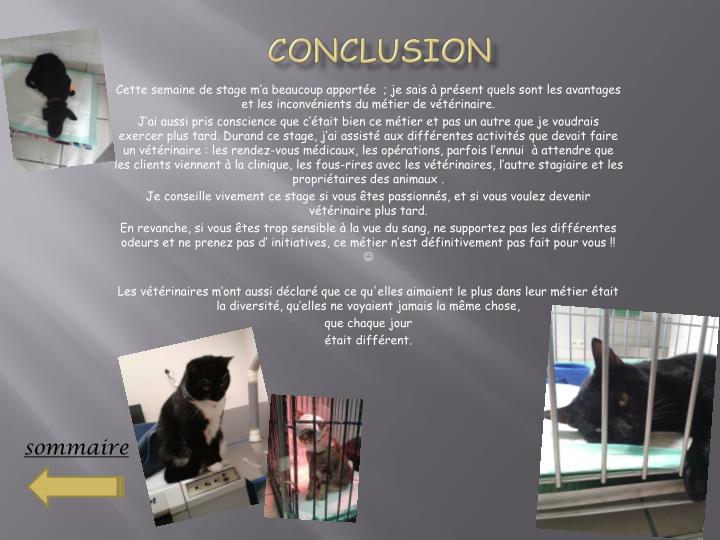 Page De Garde D'un Rapport De Stage Vétérinaire Exemple De Rapport De Stage 3Eme Veterinaire – Financial Report