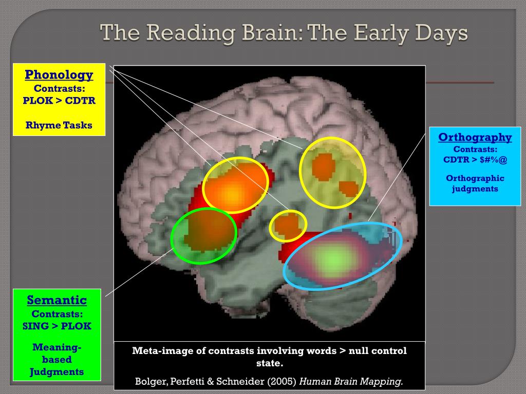 PPT The Brain Might Read That Way! PowerPoint
