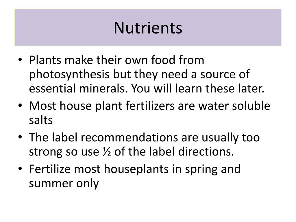 PPT Indoor Plants PowerPoint Presentation, free download ID2064794