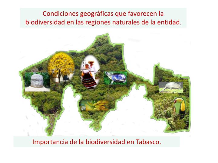 PPT Bloque II. Regiones naturales de Tabasco y su biodiversidad