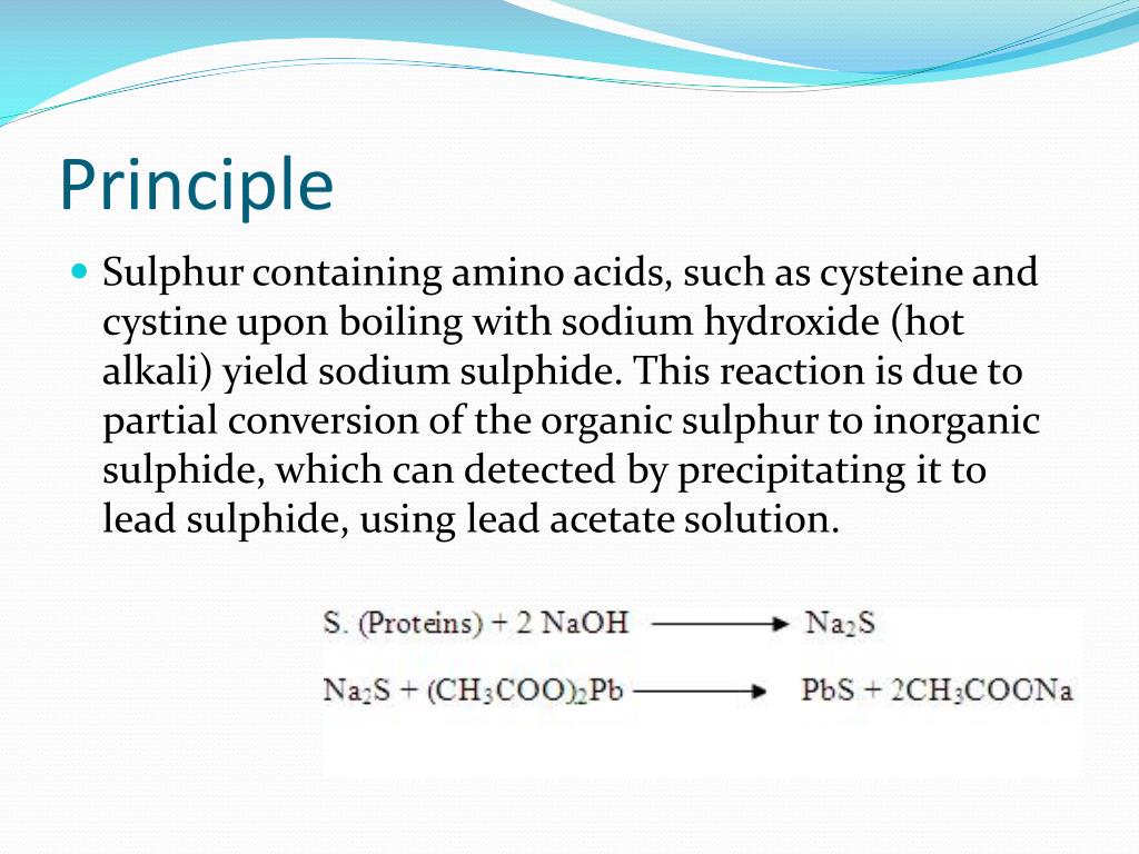 PPT Lead Sulphide Test PowerPoint Presentation, free download ID