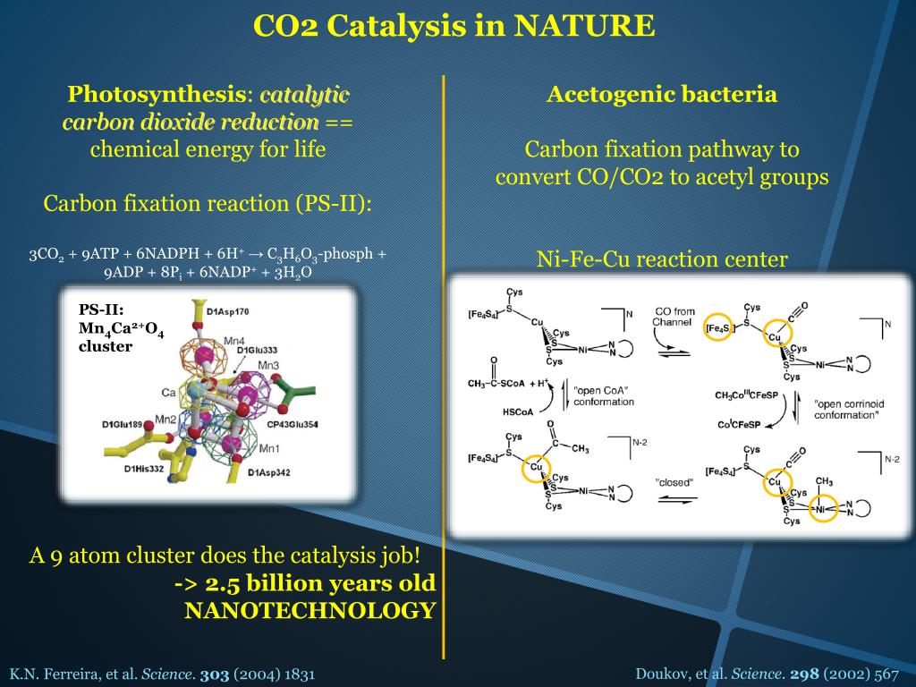 PPT An atomiclevel insight into the mechanisms of heterogeneous catalytic reduction of carbon