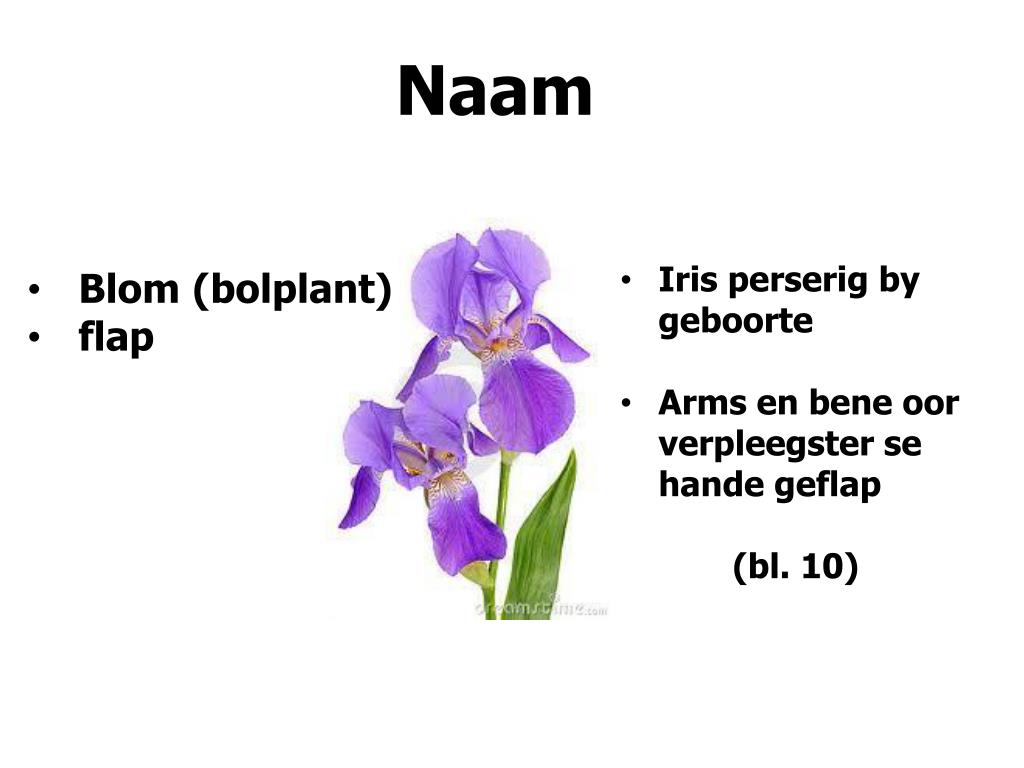 PPT die kwartvoorsewelelie PowerPoint Presentation