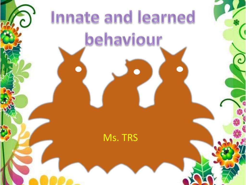 PPT Innate and learned behaviour PowerPoint Presentation, free