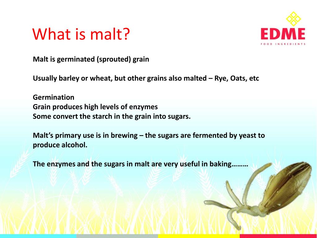 PPT Malted ingredients in the bakery PowerPoint Presentation, free
