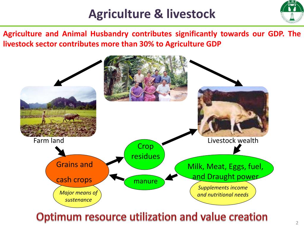 PPT ‘Integration of Animal Husbandry and Agriculture for Sustainable