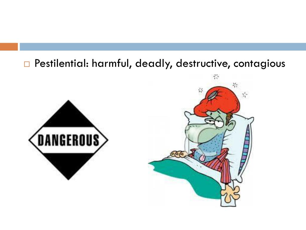 PPT Vocabulary in Night PowerPoint Presentation, free download ID