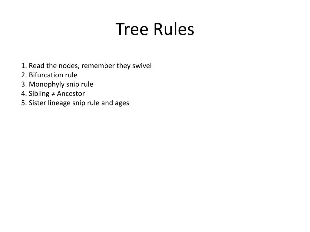 PPT Understanding Trees PowerPoint Presentation, free download ID