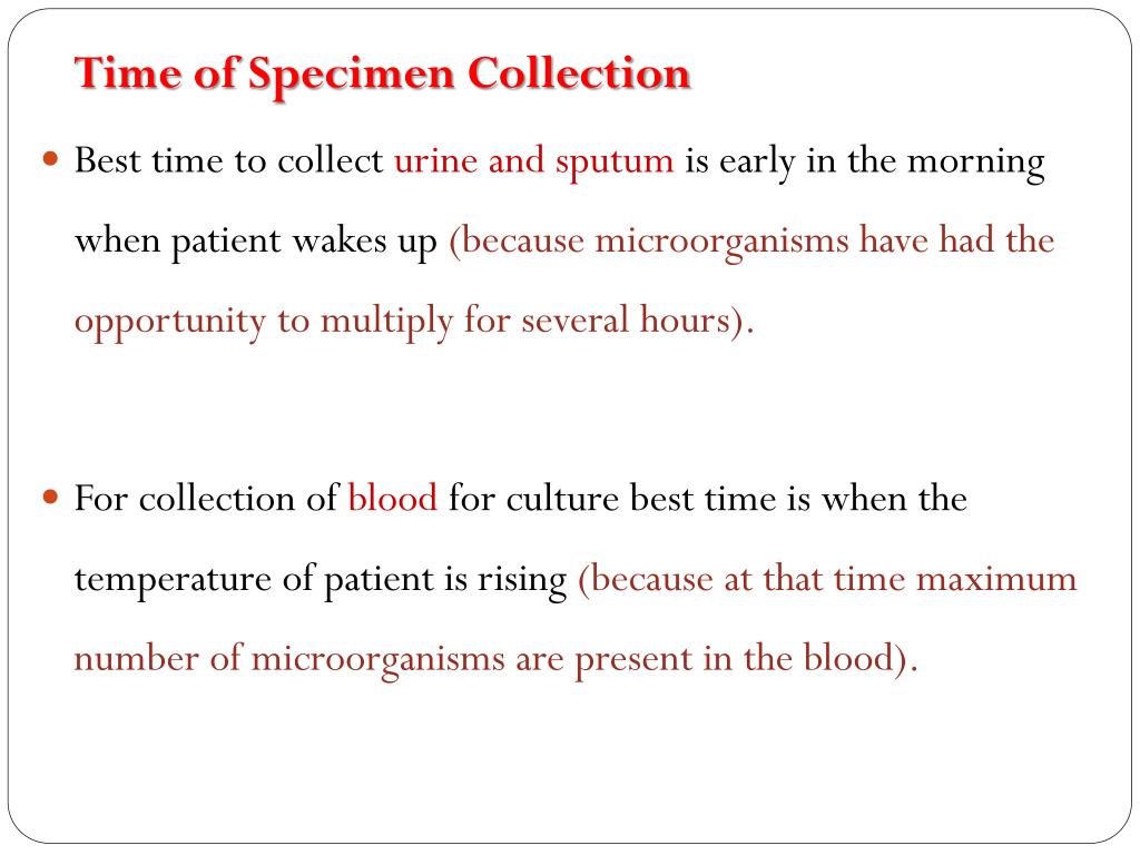 PPT Specimens Collections, Specimen Processing & Culturing Blood