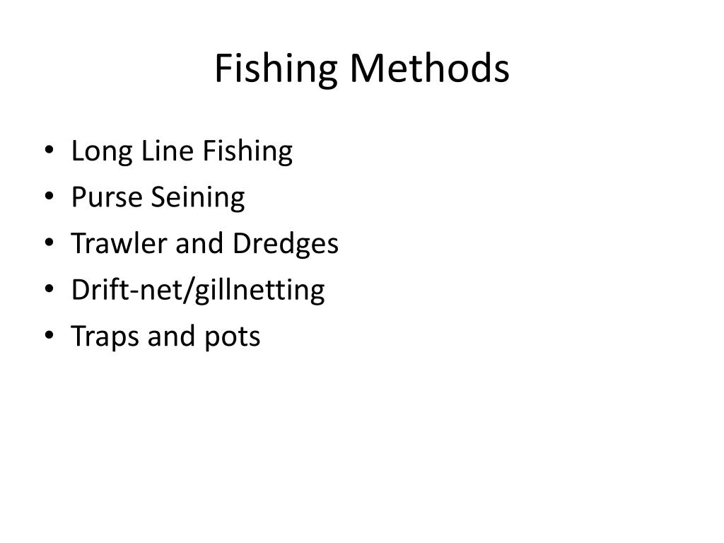 PPT Fishing Techniques PowerPoint Presentation, free download ID2082144