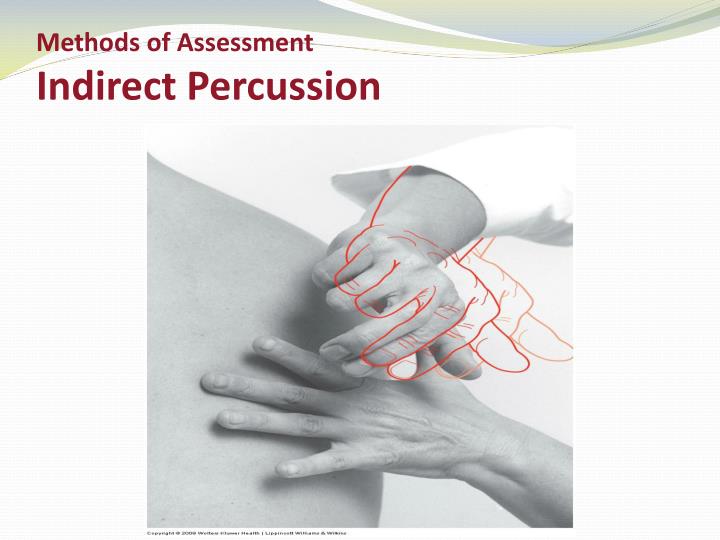 PPT Physical Assessment Skills PowerPoint Presentation ID2082155